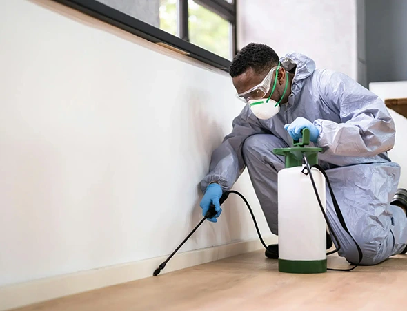 Pest Control Services in Hutto, TX