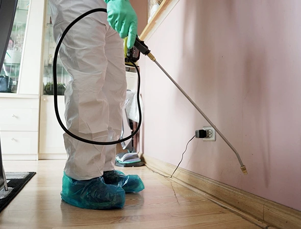 Pest Control Services in Hutto, TX
