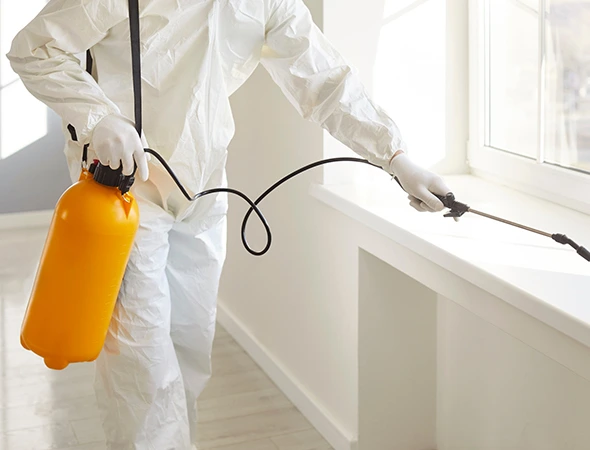 Pest Control Services in Hutto, TX