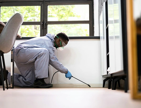 Pest Control Services in Hutto, TX