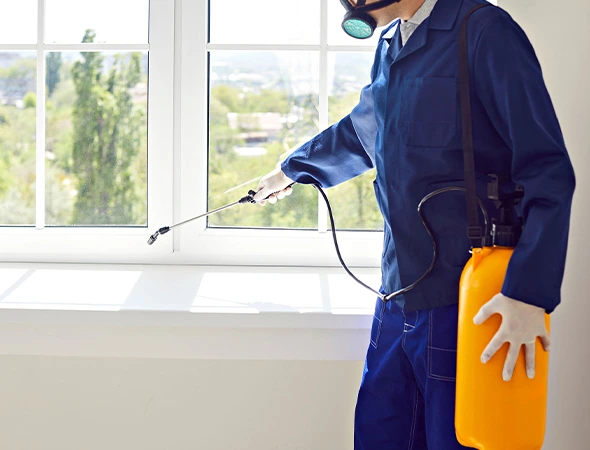 Pest Control Services in Hutto, TX